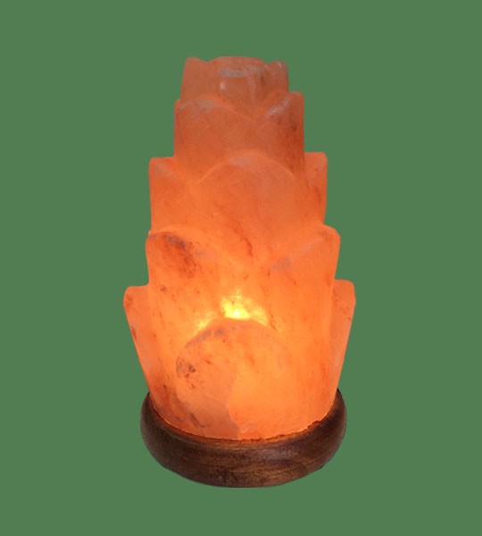 Himalayan Salt Lamp Shaped Pink Flower